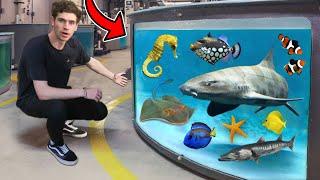 LARGEST AQUARIUM FISH & RARE EXOTIC ANIMAL TOUR!! (800+ Creatures)