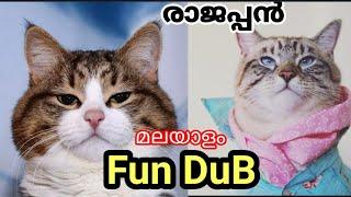 Animals Fun Dub Malayalam  | AQ Vlogz