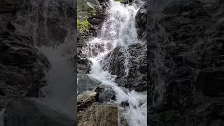 Capra waterfall in the Carpathians mountains #shortvideo