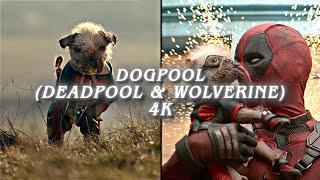 dogpool scene pack (deadpool and wolverine)