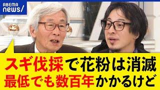 【花粉症】スギの木を全伐採するには数百年？東京と名古屋は危険地帯？完全撲滅は夢物語なのか？｜アベプラ