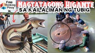 10 Pinaka malaking Halimaw na ISDA na nahuli sa kasaysayan | Largest Fish Ever Caught