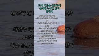 따뜻한 말 삶의 지혜 감성적인 글귀를 통해  지친 마음에 작은 위로가 되어드리고자 합니다