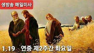 1/19 연중 제2주간 화요일 집전 : 지정태 요한보스코 신부님