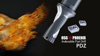 OSG PHOENIX® PDZ Indexable Flat Drill