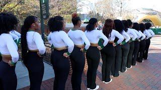 Full UNCC Homecoming Performance 2024 | Five Star Cheer