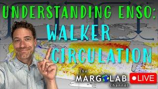 Understanding ENSO: Walker Circulation LIVE