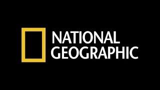 2008 Ellesmere Island Expedition: National Geographic Wild Chronicles