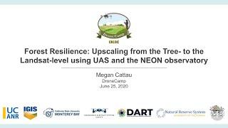 Speed Talk: Forest Resilience: Upscaling from Tree- to Landsat-level Using UAS and NEON Observatory