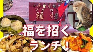 【横浜中華街 77】「福樓の福を招くランチ！」 #横浜中華街 #横浜中華街ランチ #yokohama #横浜中華街おすすめ #食べ歩き #台湾料理 #美味い