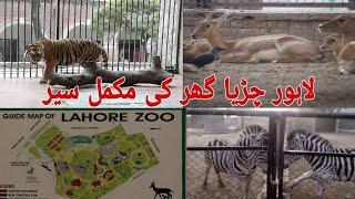 LAHORE ZOO 2020 | WILDLIFE PARK | LIONS AND TIGERS | DISCOVER PAKISTAN | LAHORE SAFARI