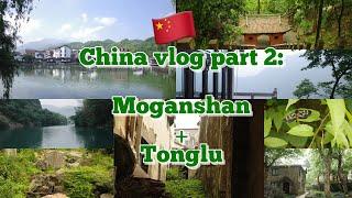 China vlog part 2 | Moganshan + Tonglu trip|get into the nature |zen moment|￼the beautiful south