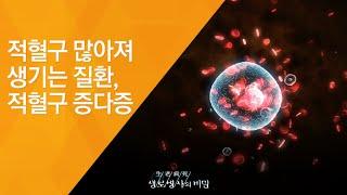 적혈구 많아져 생기는 질환, 적혈구 증다증 - (20120602_415회 방송)_또 하나의 장기, 혈액