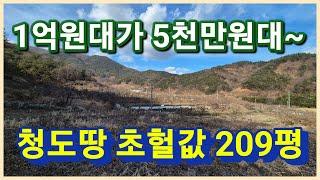 청도군 이서면 200평대의 1억원대가 5천만원대로 득템 할수있는 청도임야 청도땅 청도주말농장 좋아요