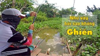 FISHING. HÔM NAY NGÀY GÌ MÀ CÁ ĂN QUÁ TRỜI . CHIA SẺ ĐIỂM CÂU THIÊN NHIÊN CHO ANH EM CÙNG ĐAM MÊ.