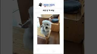 웃긴 상황들 모음 286탄 ㅋㅋㅋㅋ