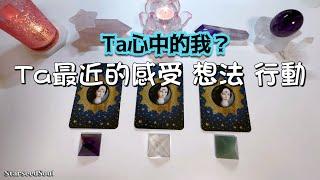 塔羅占卜| 所想的Ta：心中的你是怎樣的？Ta的想法感受行動| Ta想說的話？(Timeless)