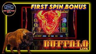 Unbelievable First Spin Bonus on Buffalo Link