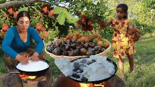 Pick a lot snail in river and Rambutan fruit in forest- Steaming snail with salt so delicious