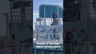 Wonder of the Seas zipline preview