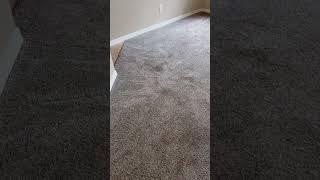 Carpet Cleaning in Brooksville FL   Steam Medic Cleaning