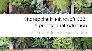 Thriving Business: Sharepoint in Microsoft 365 – A Practical Definition