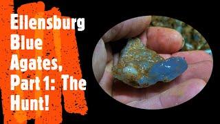 Ellensburg Blue Agates, Part 1:  The Hunt!  A short video. #thefinders