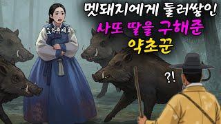 멧돼지에게 둘러쌓인 사또의 딸을 구해준 약초꾼의 이야기
