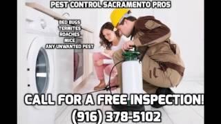 best pest control sacramento ca-916 378-5102