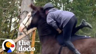 Horse Didn't Trust His Mom Until She Watched Movies With Him | The Dodo