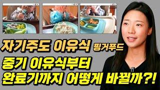 중기이유식부터 완료기이유식까지 진행방법.  자기주도이유식, 핑거푸드를 시작하려고 하시나요?