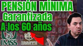 ¿A quiénes APLICA la PENSIÓN MÍNIMA GARANTIZADA? ¡Aquí la Respuesta!Ley 73 60 años800 Semanas