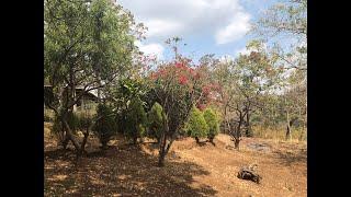 Beautiful Lot for Sale in El Crucero, Managua