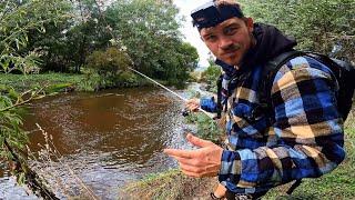 Exploring Rubicon River - Chasing Giant Trout