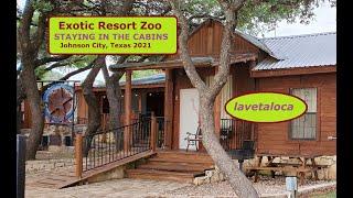 Exotic Resort Zoo Cabins, Johnson City Texas.  overnight amenities, fun animals & kissing camel