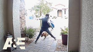 Delivery Driver Saves Homeowner & Dog from Pit Bull Attack | Neighborhood Wars | A&E