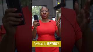 What is EFRIS?