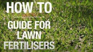 How To Guide For Lawn Fertilisers - Bunnings Warehouse