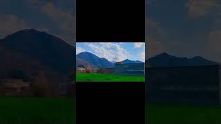 Green Fields & Mountain Peace  | Swabi Village Life – Captured by Asad Ullah Khan Jadoon