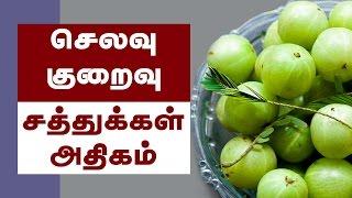 Amla Health Benefits ( Indian Gooseberry ) - Tamil Health Tips