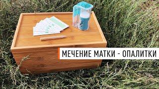 Мечение матки при помощи опалиток - Парк Плюс