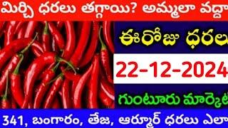 22/12/2024 గుంటూరు మిర్చి మార్కేట్ ధర || Today #MirchiRates In market ||  Mirchi Rate Increase ??