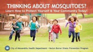 Mosquito Prevention Tips