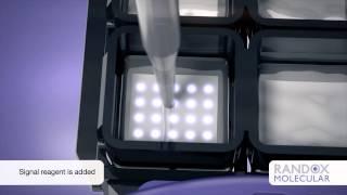 Molecular | Randox STI Multiplex Array | Randox Biosciences