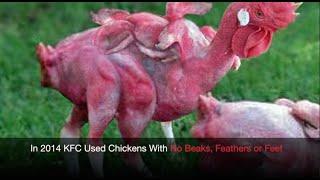 Does KFC Still Serve Mutant Chickens?