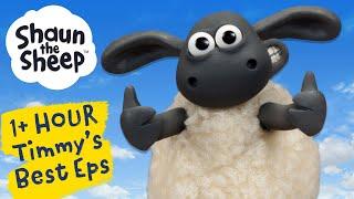 1+ HOUR Timmy's Best Episodes from Shaun the Sheep!