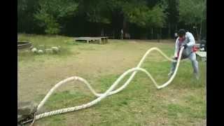 Strongman Drills by Georgian swimmer Irakli Revishvili