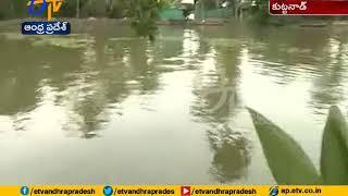 Kerala Flood Famous for its backwater, farmers suffer crop loss