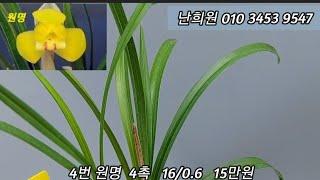 12월20일 대대로등 입실 추천작  소개합니다.