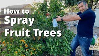 Spraying Fruit Trees and Garden Plants for Insects, Fungus, & Disease | Come, Let us Spray!